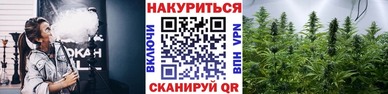 Хочу наркоту Великий Новгород A PVP  Меф  Каннабис 