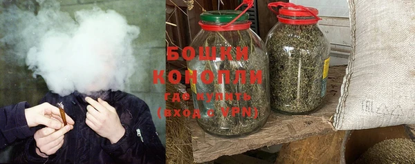 крисы Наволоки