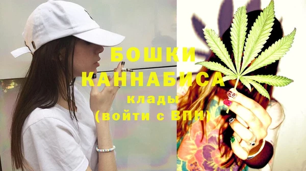 дмт Ельня