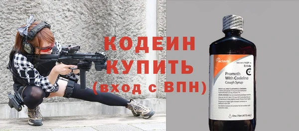 дмт Ельня