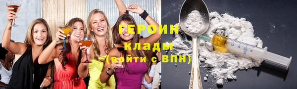 дмт Ельня