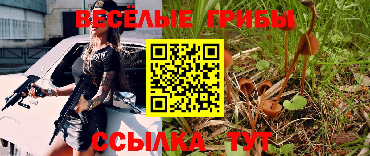 Псилоцибиновые грибы мицелий Великий Новгород